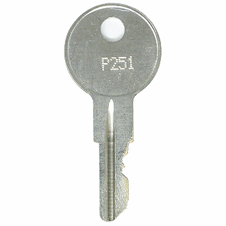 Briggs & Stratton P251 - P450 Keys 