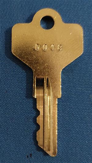 D018 Lock Key