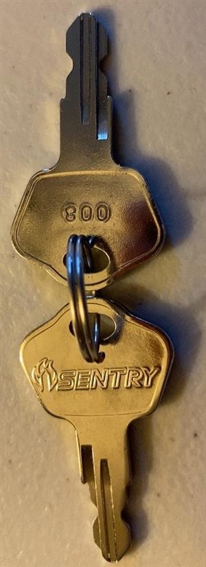 Sentry Safe 008 Key