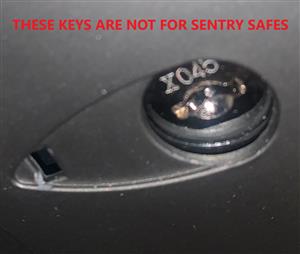 This Key Series is NOT for Sentry Safes